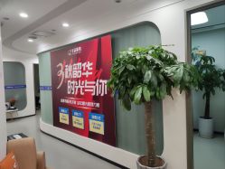 -联合丽格·张菡丽格医疗美容