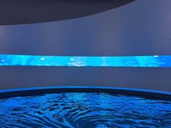 -涨巢·潮玩水疗局