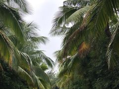 -白沙门生态公园