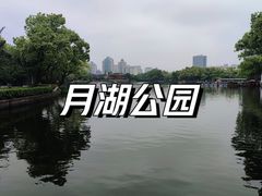 -月湖公园