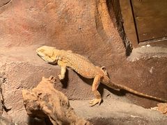 -济南野生动物世界