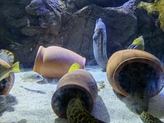 -南昌融创海世界