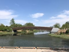-马家湾湿地公园