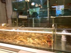 水产区-金地利海鲜酒楼(清凉门店)