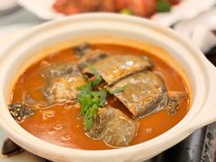 -丁老爷子苏香圆