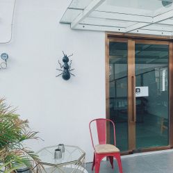 -蚂蚁造型沙龙