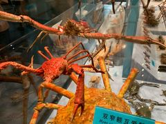 -天津自然博物馆