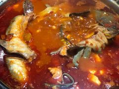 -聚黔堂凯里酸汤鱼美食店