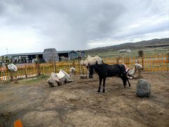 -天山神秘大峡谷