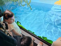 -海合安武汉极地海洋公园