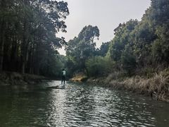 -动邦皮划艇·桨板·独木舟·团建户外运动俱乐部