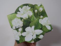 -乐纯(苹果社区店)