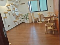 -楼上猫咖(罗湖店)