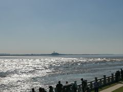 -观潮胜地公园