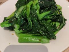 清炒广东菜心-金苑海鲜酒家(来魅力店)