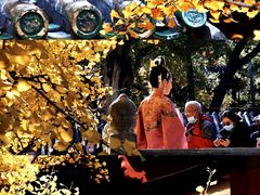 -沉浸北京·团建旅行·密室剧本杀·年会会议轰趴拓展