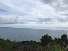 -广东惠东海龟国家级自然保护区