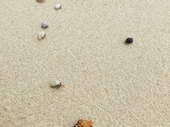 -名护雷桑力斯酒店