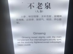 -黄山温泉国际旅游度假区