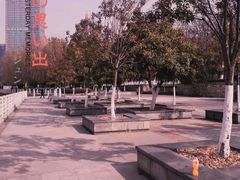 -后襄河公园