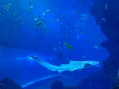 -威海华夏城景区