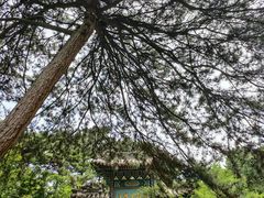 -红螺寺