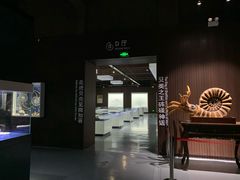 -贝壳王国博物馆