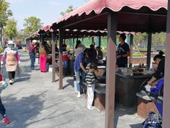 -春花秋色城市公园