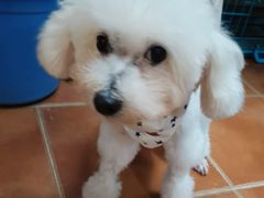 -喵汪宠物生活馆(涞坊路店)