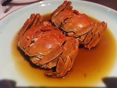 -蟹榭(静安寺晶品商场店)