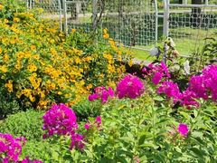 -国家植物园南园