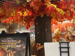 -bluefrog蓝蛙(水游城店)