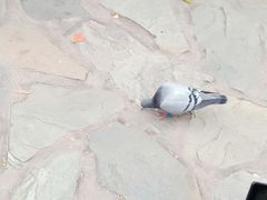 -香山公园-东宫门售票处