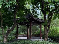 -四海公园(南山区)