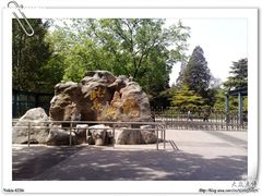 -紫竹院公园冰场