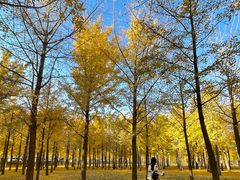 -田村(地铁站)