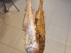黄花鱼-北丐先生·野馄饨烧烤(雨花万象店)