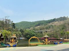 -西双版纳原始森林公园