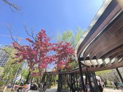 -元大都城垣遗址公园