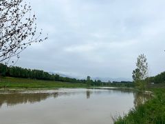 -洨河生态公园