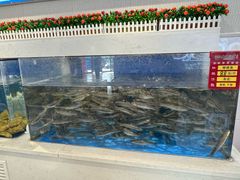 -北塘海鲜·天津菜·鲅鱼水饺是一绝(大光明桥旗舰店)