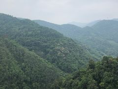 -四会奇石河风景区