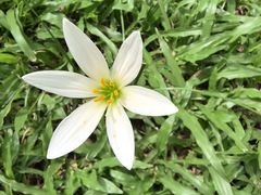 -怡海公园(桂城街道)