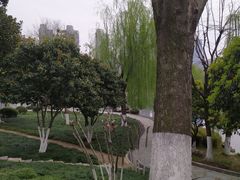 -后襄河公园