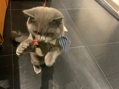 -吱咖啡西式简餐