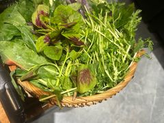 -一朵菌·野生菌探索家火锅(南亚店)