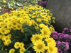 -共青国家森林公园-售票处