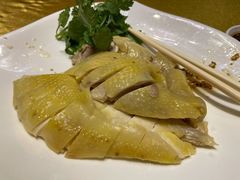 白切鸡-新海利海鲜城·41年珠海老字号(夏湾店)