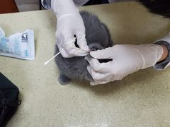 -艾贝尔宠物医院·狂犬免疫点(江山金象城店)