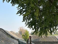 -自如ZSPACE四合院艺术餐厅
